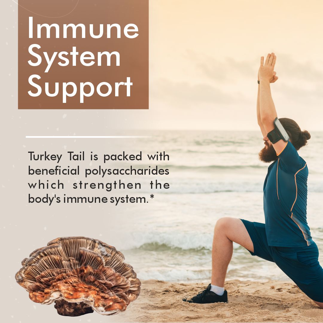 Vitaminnica Turkey Tail Mushroom- 60 Capsules